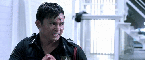 Kill Zone 2 (2015) aka Sha Po Lang 2, Tony Jaa meets his equals in